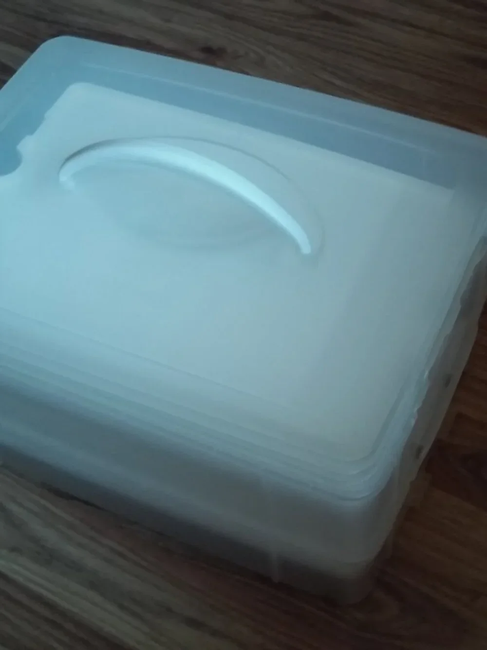 Snapware Reversible Trays Food Or Eggs Carrier